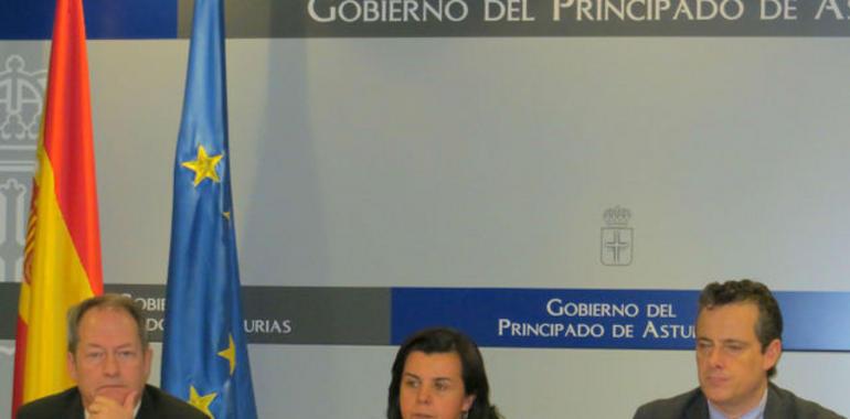  La consejera propone a debate en el Parlamento el futuro de la Asturias agroganadera