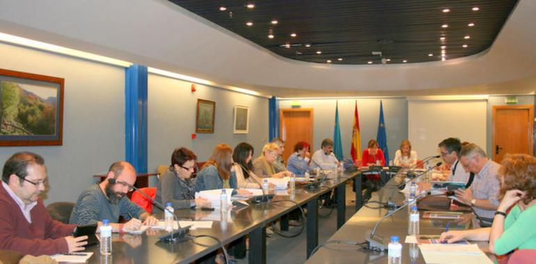 El Consejo Asturiano de Cooperación al Desarrollo aprueba por unanimidad el Plan Director hasta 2016