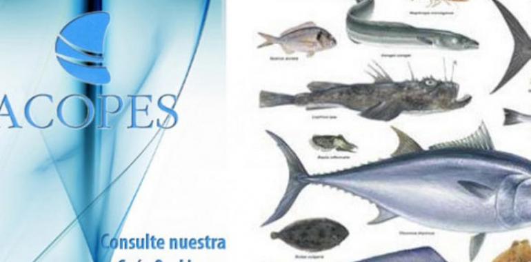 ACOPES lanza una Guía OnLine para promocionar los productos pesqueros 
