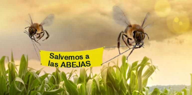 Piden que España defienda la prohibición del fipronil por su toxicidad para las abejas