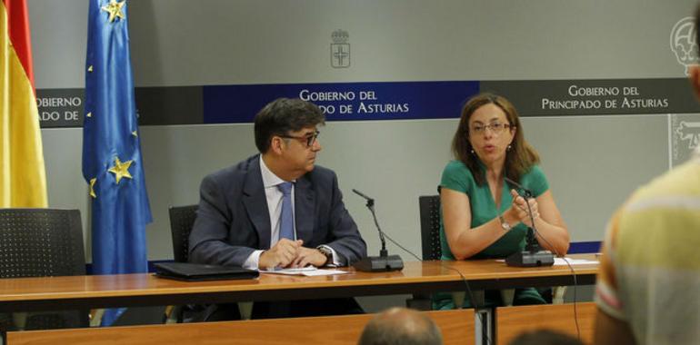 Asturias recogió 98.598 kilos de pilas usadas en 2012, el 60% de las vendidas