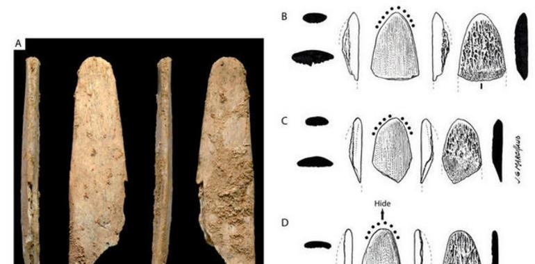 Los neandertales fueron pioneros en la creación de herramientas especializadas 