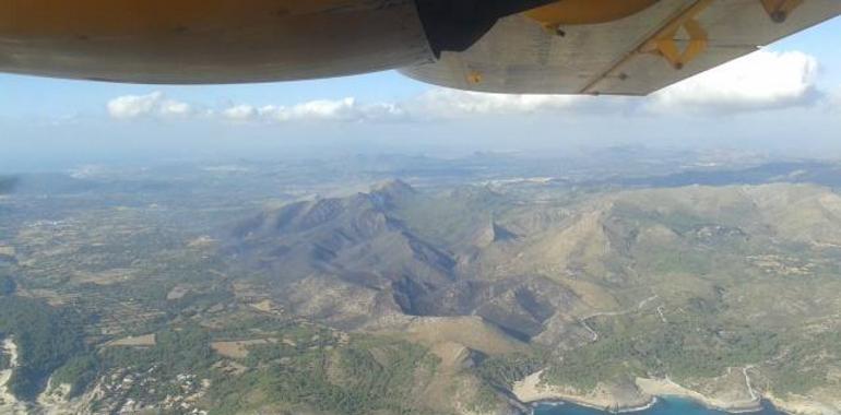 Once medios aéreos y 140 efectivos trabajan en la extinción del incendio forestal en Artà y Capdepera