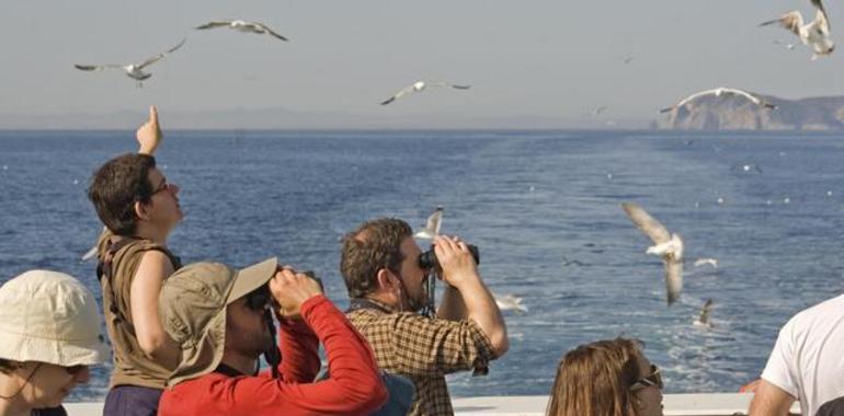 Más de 500 actividades para celebrar el Día de las Aves en España