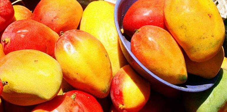 Las propiedades antioxidantes de la cáscara del mango 