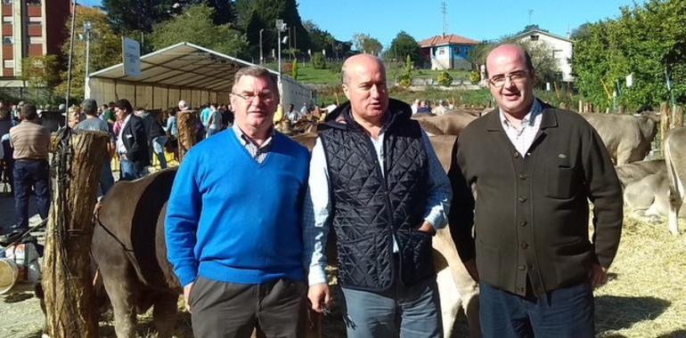 Luis Venta: “La consejería es más problema que solución para los ganaderos asturianos”
