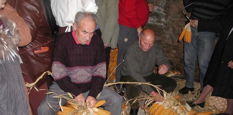 La cultura del maíz en el Esfoyón de Navelgas