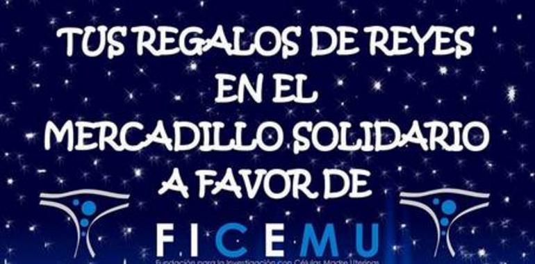Mercadillo solidario en Gijón a favor de FICEMU