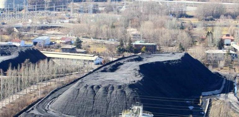 Carbunión espera superar la "grave crisis" del carbón tras un 2013 destructor de empresas