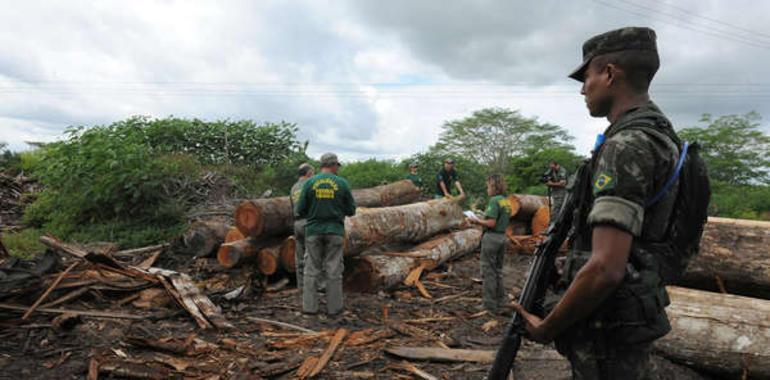 La solidaridad internacional logra la expulsión de los madereros ilegales en tierras de los Awa