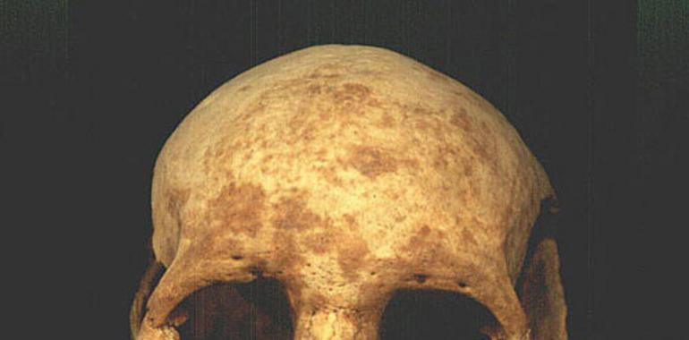 Hallazgos óseos en Tenochtitlan muestran que los mexicas practicaban la antropofagia