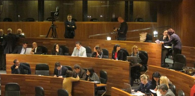 El Parlamento de Asturias insta al Gobierno central a retirar el anteproyecto de Ley contra el aborto