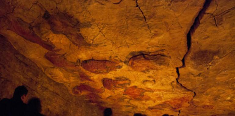 Comienzan las visitas experimentales con público a la cueva de Altamira 