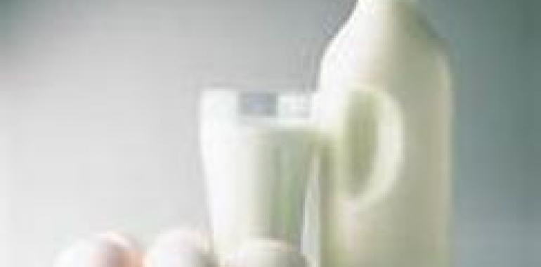 Abre el plazo para solicitud de cesiones temporales de cuota láctea para 2014-2015 