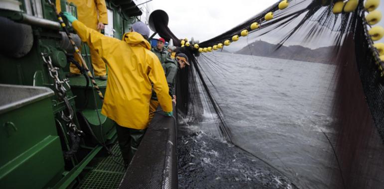 Cañete quiere repartir las cuotas de pesca por buque porque "garantiza una pesca más responsable" 