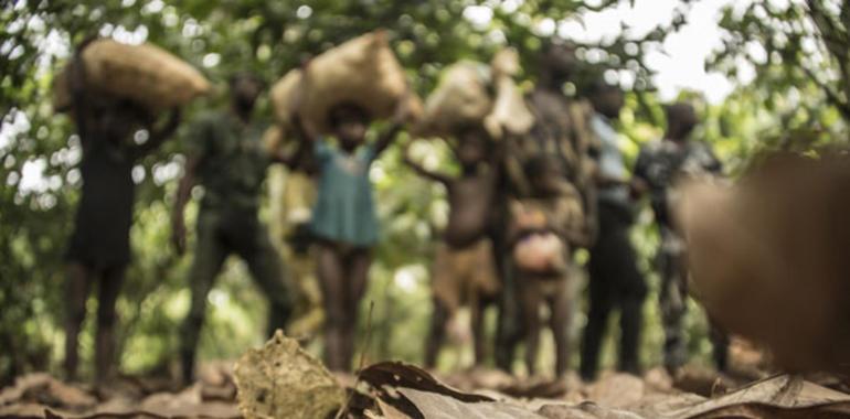 Niños rescatados de la esclavitud en Costa de Marfil con el apoyo de INTERPOL