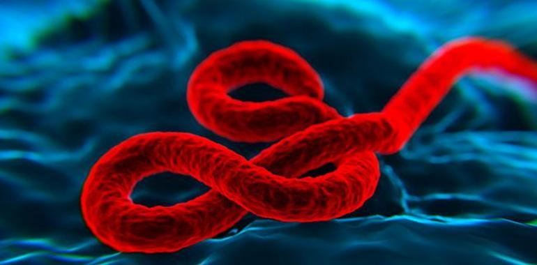 OMS: Los resultados de la #vacuna suiza contra el #ébola se esperan en diciembre