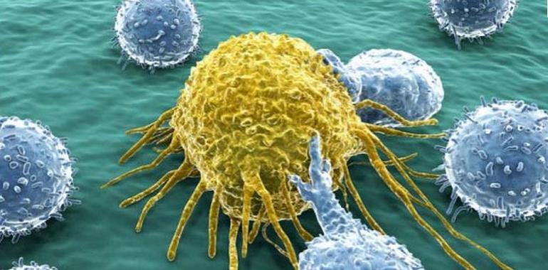 Avances la terapéutica contra el cáncer por medio de nanopartículas