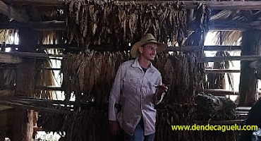 Pinar del Río y su valle de Viñales la Meca del tabaco en Cuba.