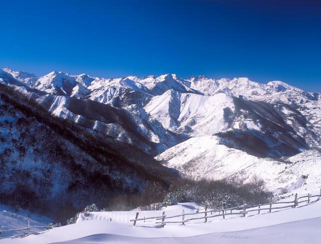 La nieve no la comieron los llobos