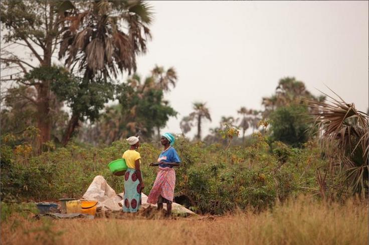 Reportaje en Angola