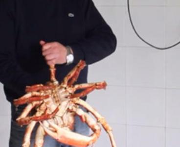 #Video:Los #sabores de #Asturias