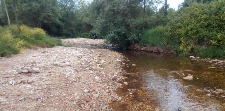 Coordinadora Ecoloxista d’Asturies denuncia las obras en la playa de Cuevas del Mar, Llanes