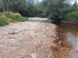 Coordinadora Ecoloxista d’Asturies denuncia las obras en la playa de Cuevas del Mar, Llanes