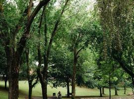 Preestreno de "Avilés, la ciudad que sabe reinventarse"