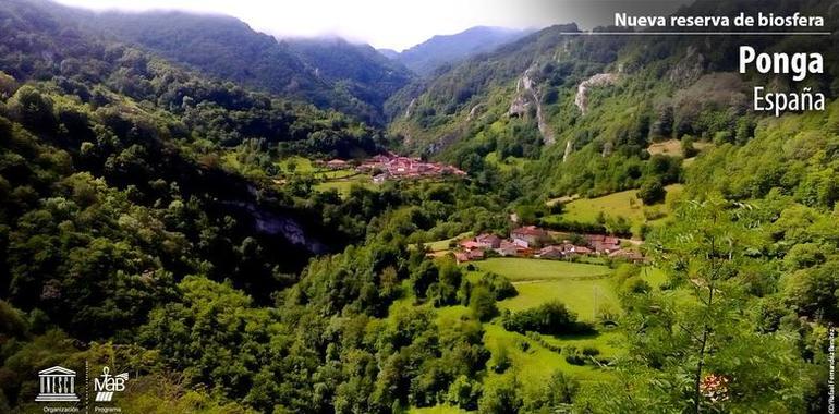 Ponga Biosphere Reserve, Spain