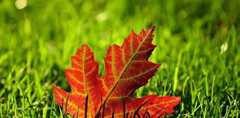 Viento y ambiente más fresco para recibir octubre