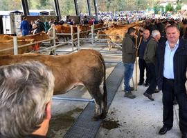 Reivindicación del medio rural asturiano en La Feriona de Teverga