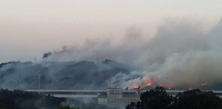 Los incendios forestales de los últimos 18 años en España han costado 33,2 millones 