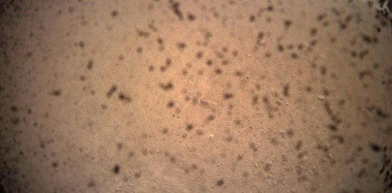 InSight Lander de la NASA envía su primera imagen de Marte