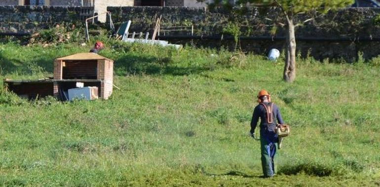 Oviedo contratará 32 jóvenes durante seis meses en labores agrícolas, de limpieza o fontanería