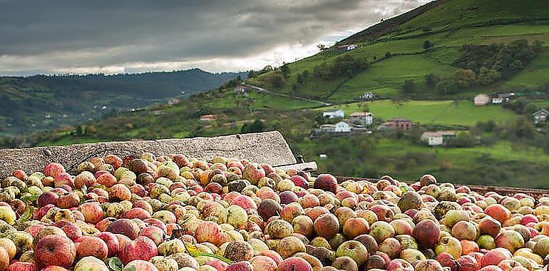 Desarrollo Rural destinó 3,7 millones a proyectos del grupo de acción local Comarca de la Sidra