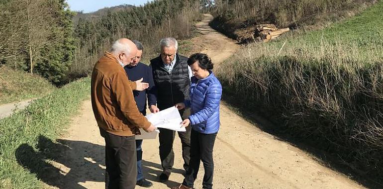 Desarrollo Rural invertirá más de medio millón en la reforma de dos caminos en Castropol y Navia 