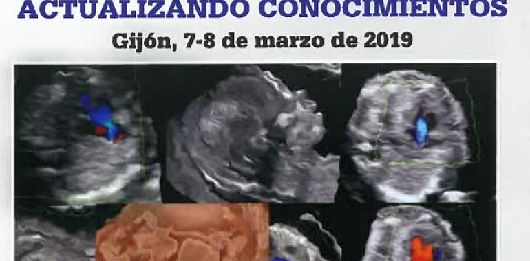 Cabueñes acoge un congreso de avances en diagnóstico prenatal y medicina fetal 