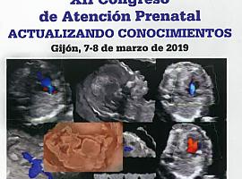 Cabueñes acoge un congreso de avances en diagnóstico prenatal y medicina fetal 