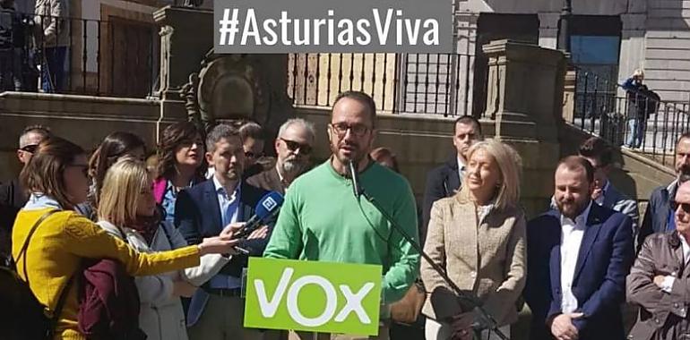 Vox manifiesta su preocupación por el desmantelamiento de la industria asturiana