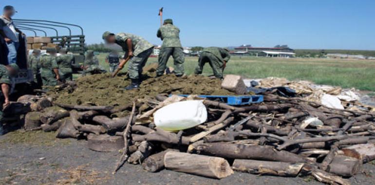 Descubren restos humanos en un rancho de Jalisco
