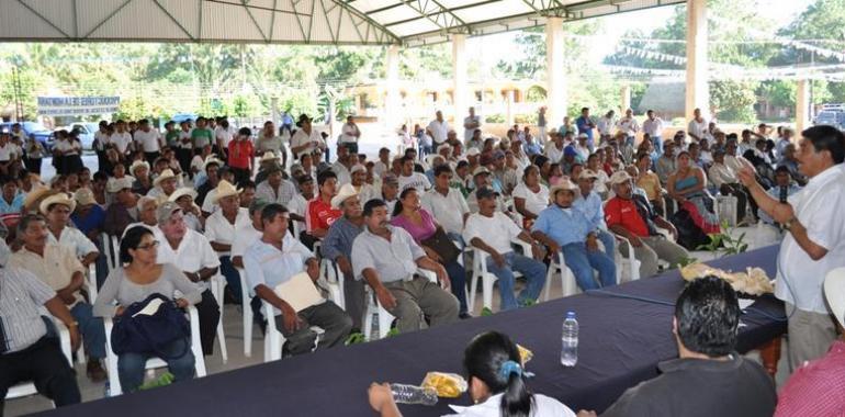 Espaldarazo a los productores oaxaqueños de zapote mamey