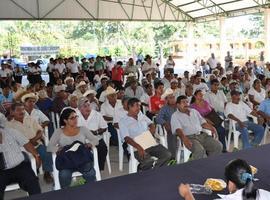 Espaldarazo a los productores oaxaqueños de zapote mamey