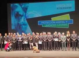 Premio a la Unidad Canina de la Policía Local de Gijón