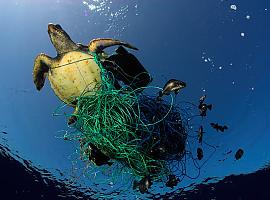 Cada año se abandonan 640.000 toneladas de redes de pesca en los océanos