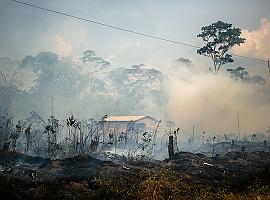 BOLSONARO: En sólo un año arrasan un 30 % más de la Amazonía