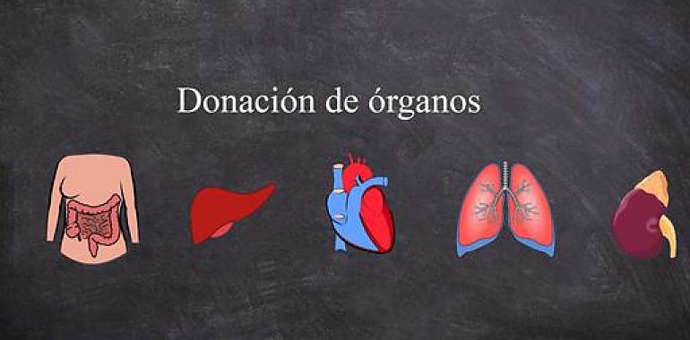 España alcanza un nuevo récord en donación de órganos 
