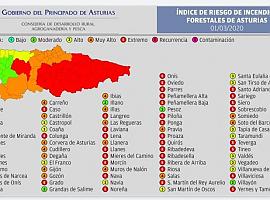 Contabilizados 21 Incendios Forestales en Asturias