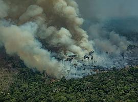 El confinamiento no paraliza el movimiento climático en el Día de la Tierra