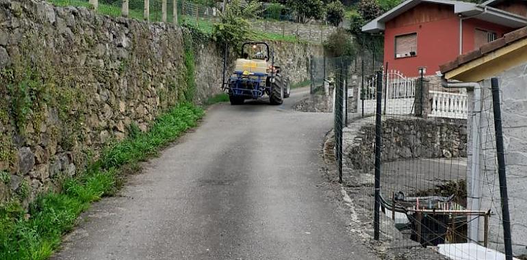 Morcín intensifica las labores de desinfección en la zona rural en el concejo